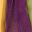 Green Yellow Purple