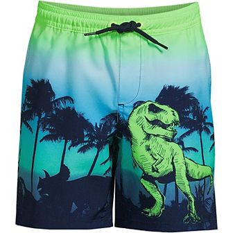 Boys 2-20 Lands' End Active Swim Trunks