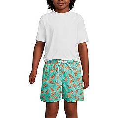 Boys 8-20 Lands' End Stretch Swim Trunks with Hydroliner in Slim