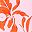 Pink Floral