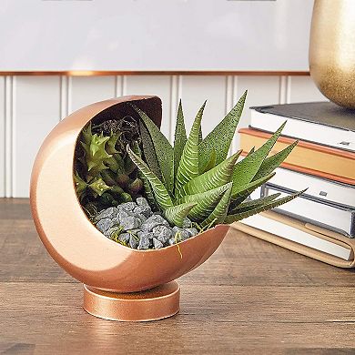 Black Rocks for Vases, Plants, Aquarium, Bonsai Tree, and Terrariums (2 Lbs)