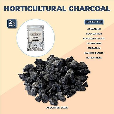 Black Rocks for Vases, Plants, Aquarium, Bonsai Tree, and Terrariums (2 Lbs)