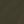 Olive Forest