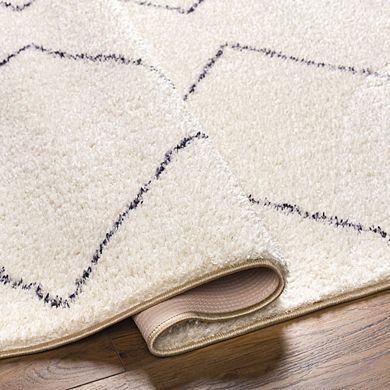 Aaliyah Global Washable Area Rug
