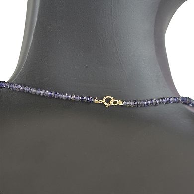 Jewelmak 14k Yellow Gold & Iolite Necklace