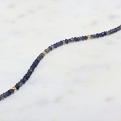 Jewelmak 14k Yellow Gold & Iolite Necklace