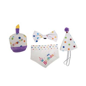 4 pc Dog Birthday Kit: Bandana, Hat, Bow Tie, Plush Toy