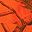Blaze Realtree Ap