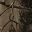 Realtree All Purpose