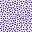 College Purple