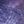 Astral Shark