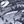 Gray Shark