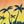 Island Paradise
