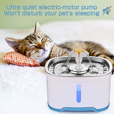 Pet Water Dispenser with LED Light