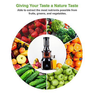 Ventray Slow Press Masticating Juicer Black