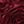 Burgundy Red