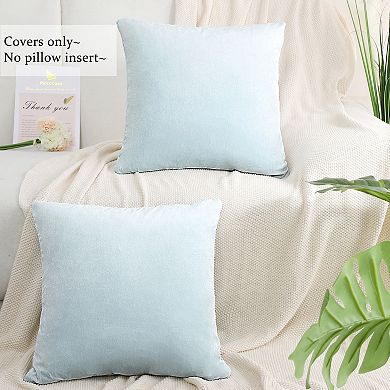 Soft Velvet Throw Pillow Covers (pack Of 2)