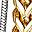 Gold Tone