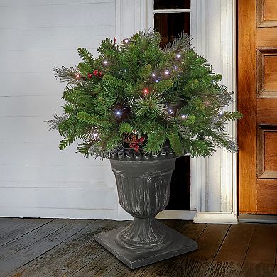 National Tree Company 24-in. Artificial Spruce Porch Bush in Silver Brushed Plastic Urn with Battery-Operated Twinkling Lights
