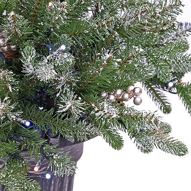 National Tree Company 24-in. Feel-Real® Flocked Faux Morgan Spruce Pre-Lit Porch Bush