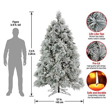 National Tree Company 7.5-Ft. Bavarian Pine Flocked 900-Light Artificial Christmas Tree\