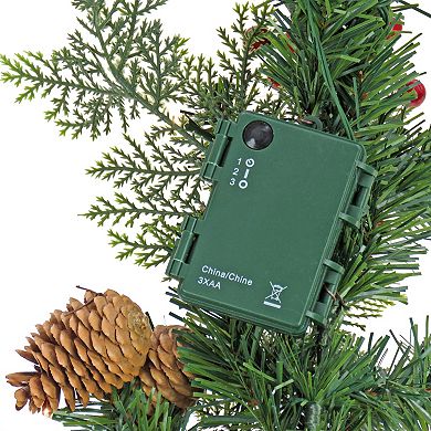 National Tree Company Christmas First Traditions Holly Berry Mixed Tip Set