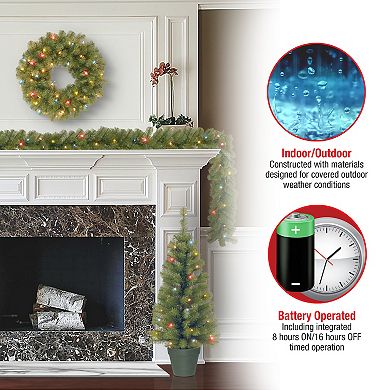 National Tree Company Pre-Lit Green Assortment