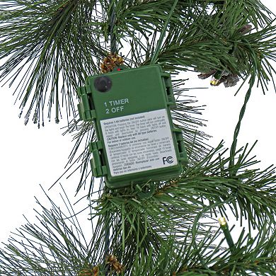 National Tree Company Pre-Lit Whitter Pine Artificial Garland