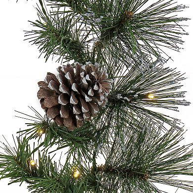 National Tree Company Pre-Lit Whitter Pine Artificial Garland