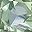 Peridot