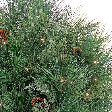 National Tree Company HGTV 26" LED Light-Up Black Tie Christmas Needles & Cedar Urn Filler