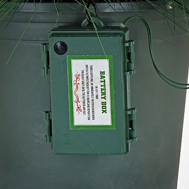 National Tree Company HGTV 26" LED Light-Up Black Tie Christmas Needles & Cedar Urn Filler