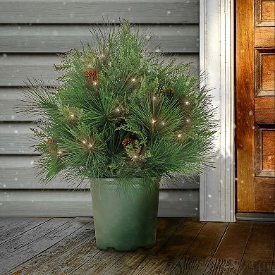 National Tree Company HGTV 26" LED Light-Up Black Tie Christmas Needles & Cedar Urn Filler
