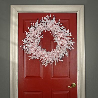 National Tree Company HGTV 30" LED Light-Up Christmas by the Sea Coral Wreath