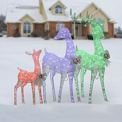 National Tree Company 36", 52" & 60" LED Light-Up Glittered Christmas Deer Family