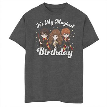 Boys 8-20 Harry Potter & the Deadly Hallows Trio It's My Magical Birthday Husky Tee