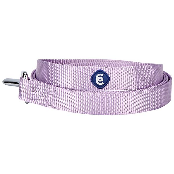 Blueberry Pet Classic Solid Nylon Dog Leash