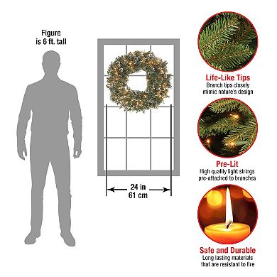National Tree Company 24-in. Glittery Bristle® Artificial Wreath with Twinkly™ Lights
