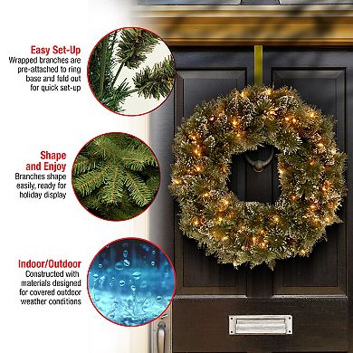 National Tree Company 24-in. Glittery Bristle® Artificial Wreath with Twinkly™ Lights