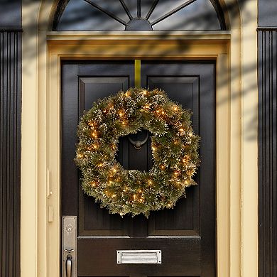 National Tree Company 24-in. Glittery Bristle® Artificial Wreath with Twinkly™ Lights