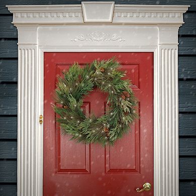 National Tree Company HGTV Home Collection Pre-Lit Artificial Christmas Wreath