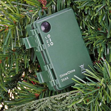 National Tree Company First Traditions LED North Conway Artificial Christmas Wreath