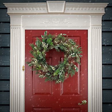 National Tree Company HGTV Home Collection Pine Cones & Holly Pre-Lit Artificial Christmas Wreath