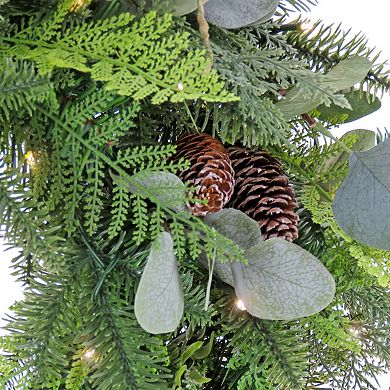National Tree Company HGTV Winter Garden Eucalyptus Pre-Lit Artificial Christmas Wreath 