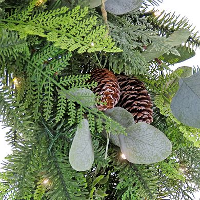National Tree Company HGTV Winter Garden Eucalyptus Pre-Lit Artificial Christmas Wreath