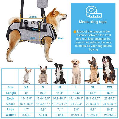 Pet lift harness online