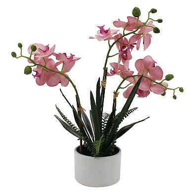 Sonoma Goods For Life® Potted Artificial 3-Stem Orchid Floral Arrangement Floor Decor