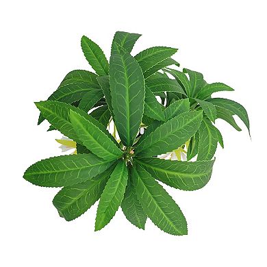 Sonoma Goods For Life Elaeocarpus Hygrophilus Artificial Plant Floor Decor