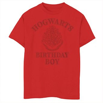 Boys 8-20 Harry Potter And The Sorcerer's Stone Birthday Boy Hogwarts Shield Graphic Tee