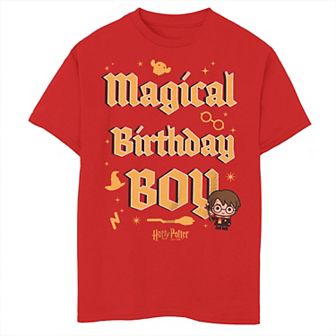 Boys 8-20 Harry Potter And The Deadly Hallows Magical Birthday Boy Graphic Tee